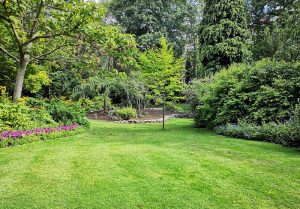 Optimiser l'expérience du jardin à Varennes-sous-Dun